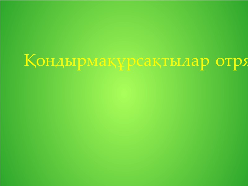 Қондырмақұрсақтылар отряд тармағы - Symphila